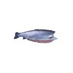 turkish-salmon-trout-somon-head-off-gutten
